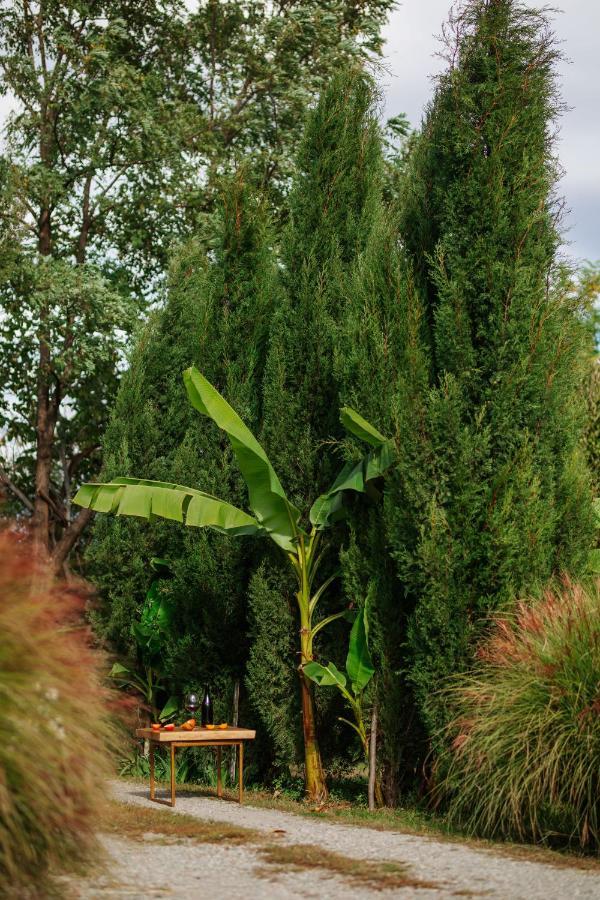 Casa Akacia Hotel เทลาวี ภายนอก รูปภาพ